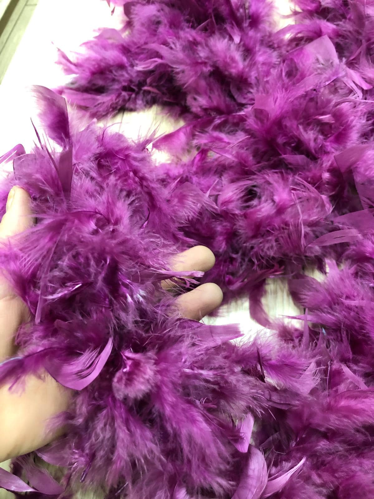 Pene de Cocos - 2m pe sal , Mov