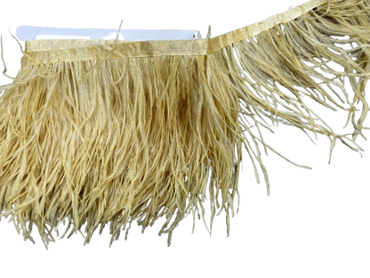 Pene de strut , Bej-Auriu