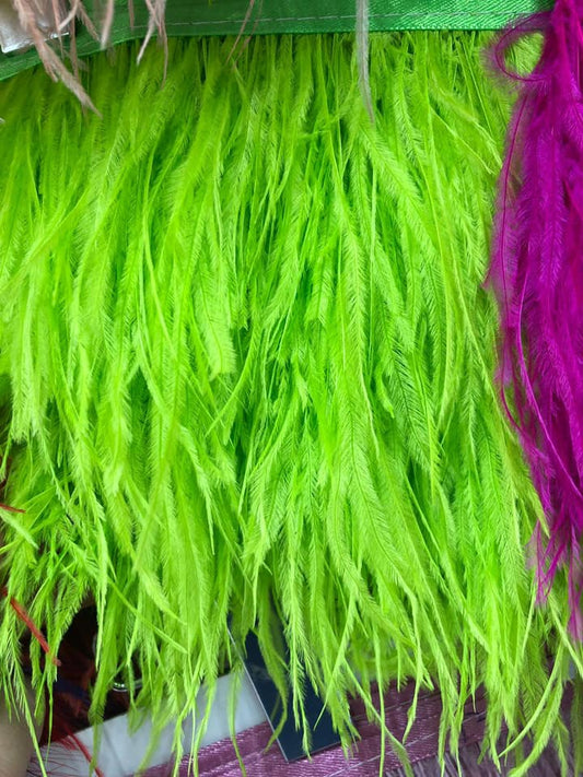 Pene de strut , Verde intens